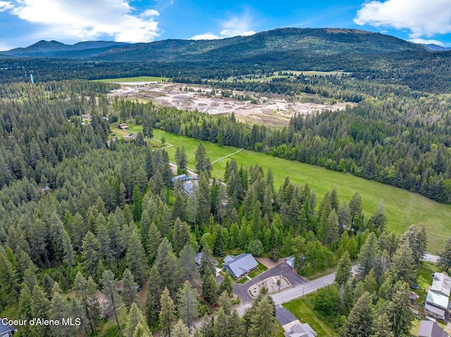 bird's eye view of a forest and mountains