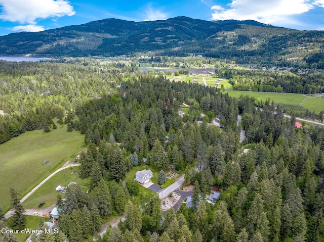 drone / aerial view of a heavily wooded area and a mountain backdrop