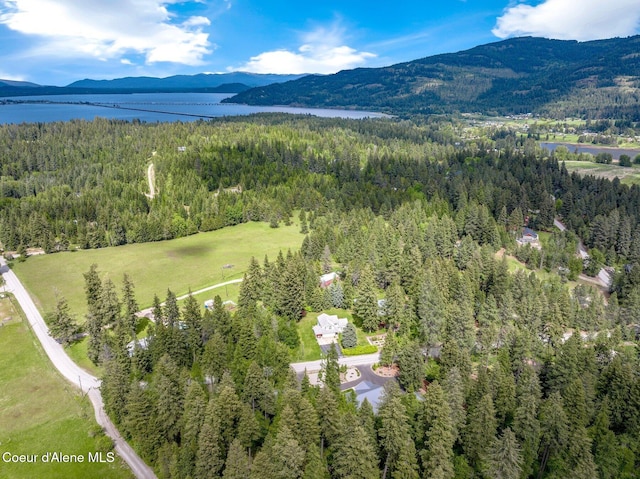 drone / aerial view of a forest and a water and mountain view