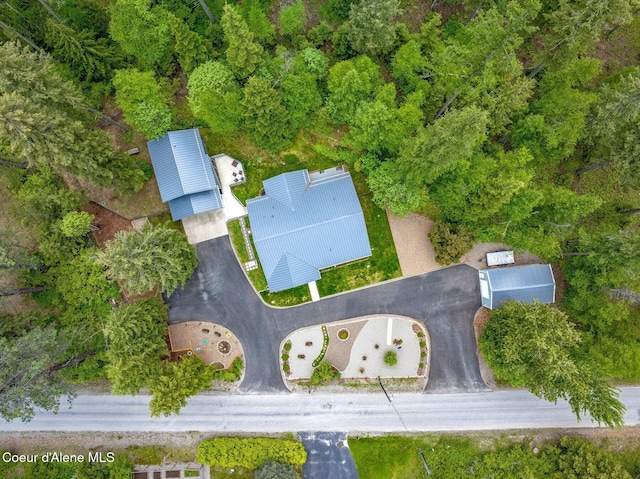 bird's eye view
