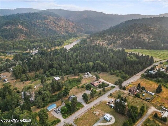 40487 Riverview Dr, Cataldo, ID 83810 - photo 1