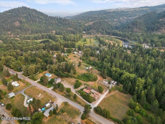 40487 Riverview Dr, Cataldo, ID 83810 - photo 3