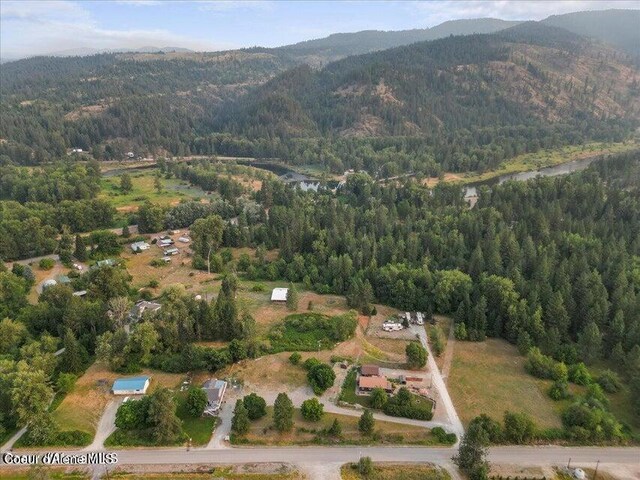 40487 Riverview Dr, Cataldo, ID 83810 - photo 4