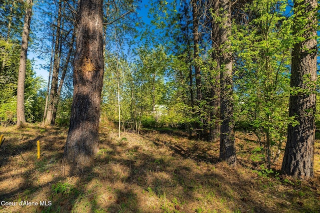 503 Hornby Pl, Dover, ID 83825