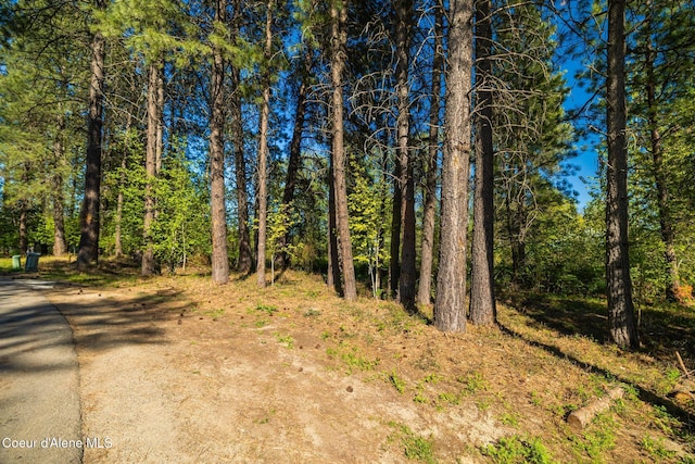 503 Hornby Pl, Dover, ID 83825