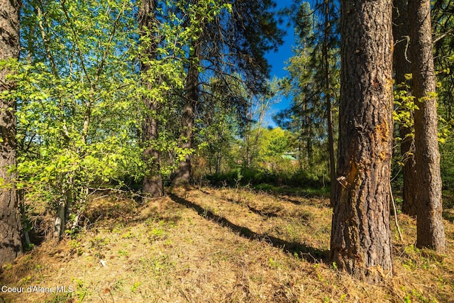 503 Hornby Pl, Dover, ID 83825