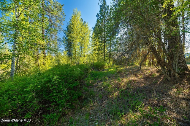 503 Hornby Pl, Dover, ID 83825
