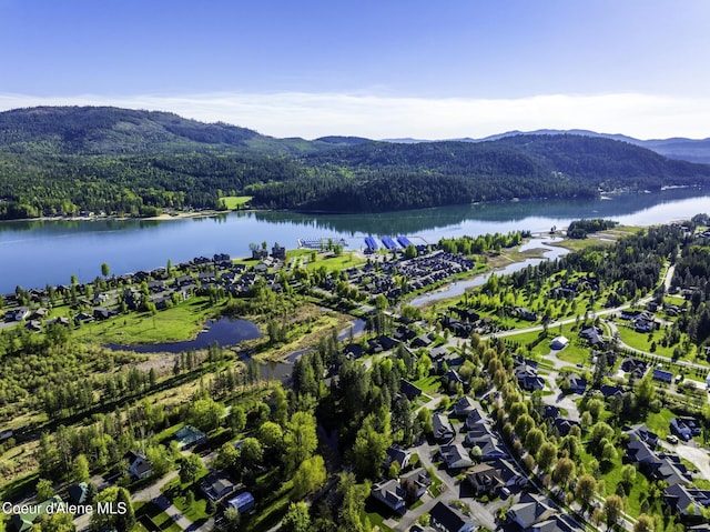 503 Hornby Pl, Dover, ID 83825