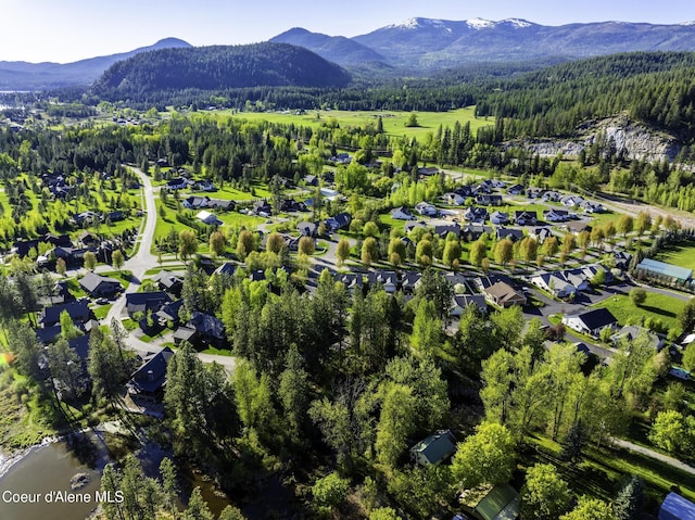 503 Hornby Pl, Dover, ID 83825