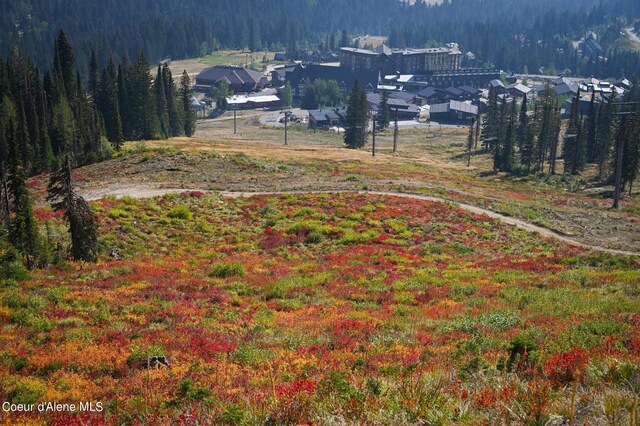 495 NW Psge # 103, Sandpoint, ID 83864 - view of yard featuring a view of trees
