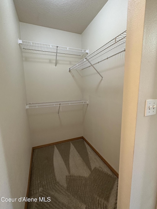 1374 N Kaleigh Ct, Coeur Dalene, ID 83814 - spacious closet featuring carpet
