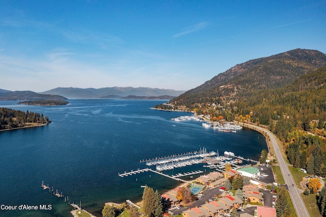 water view featuring a mountain backdrop, numerous boat docks, and a forest