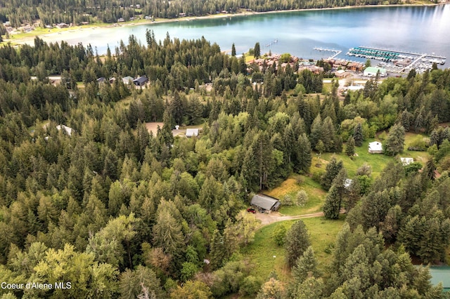 aerial overview of property's location with a heavily wooded area and a large body of water