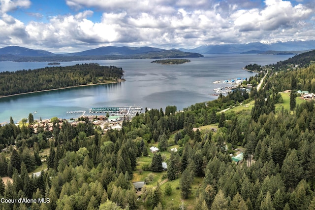 aerial view of a forest and a water and mountain view