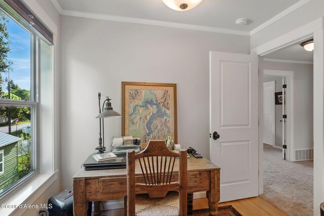 619 N Florence Ave, Sandpoint, ID 83864 - office with plenty of natural light, ornamental molding, and light colored carpet