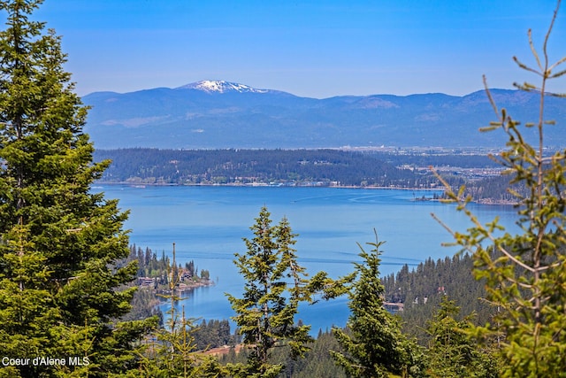 water view featuring mountains and a heavily wooded area