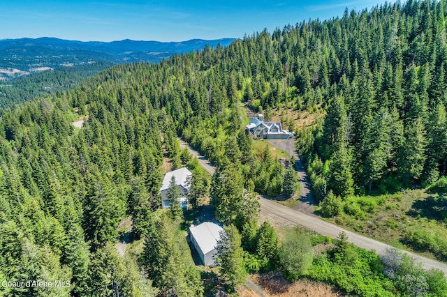 aerial view of a forest and a mountainous background