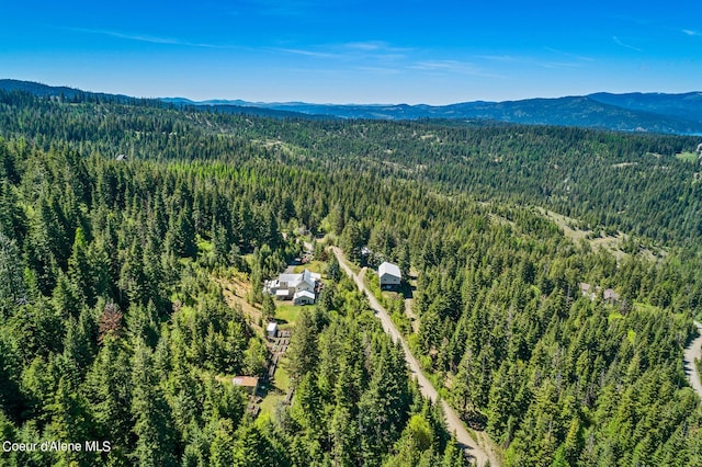 aerial view of a forest and mountains