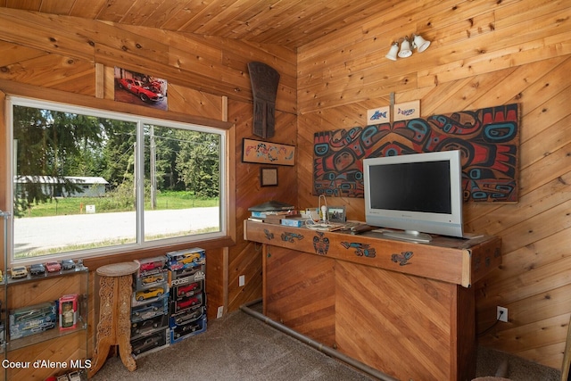 42 Bodie Ln, Priest River, ID 83856 - office space with wooden walls, carpet floors, healthy amount of natural light, and wooden ceiling