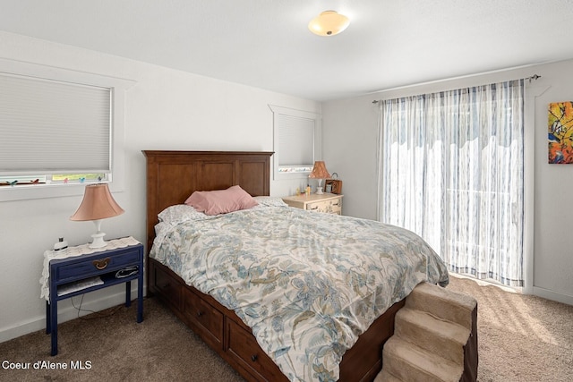 42 Bodie Ln, Priest River, ID 83856 - bedroom with carpet flooring and baseboards
