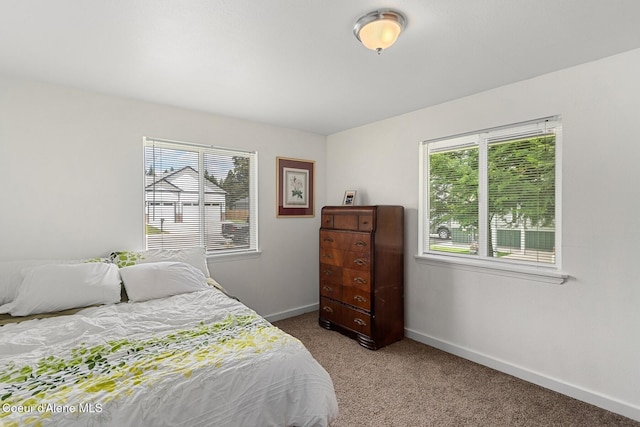 42 Bodie Ln, Priest River, ID 83856 - carpeted bedroom with multiple windows and baseboards