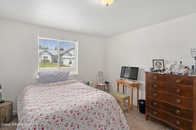 42 Bodie Ln, Priest River, ID 83856 - carpeted bedroom with baseboards