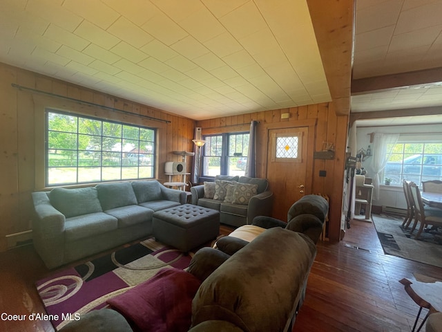 84 Highland Flats Rd, Naples, ID 83847 - living area featuring plenty of natural light, wooden walls, and wood-type flooring