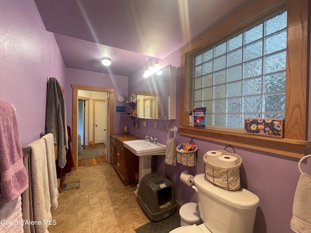 84 Highland Flats Rd, Naples, ID 83847 - bathroom with stone finish floors, toilet, and a sink