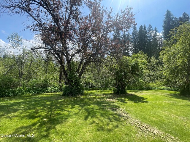 84 Highland Flats Rd, Naples, ID 83847 - view of green lawn featuring a wooded view
