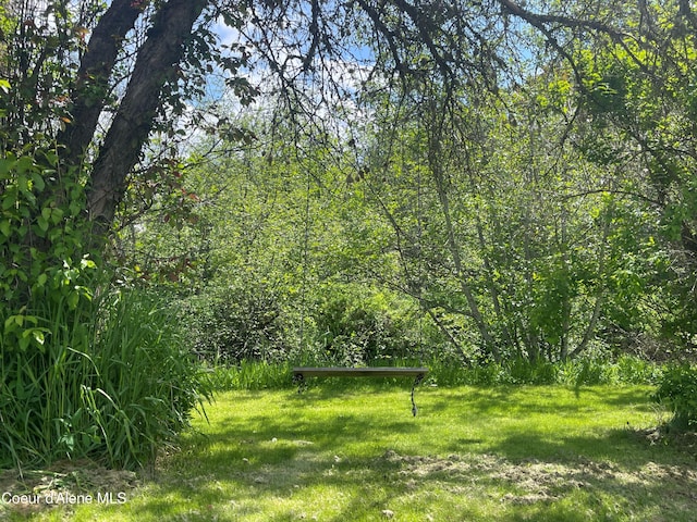 84 Highland Flats Rd, Naples, ID 83847 - view of grassy yard