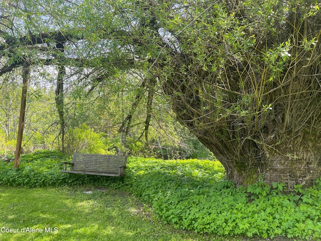 84 Highland Flats Rd, Naples, ID 83847 - view of yard