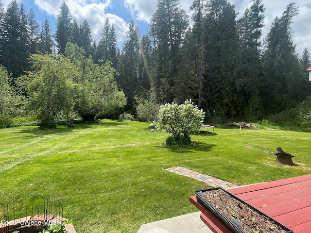 84 Highland Flats Rd, Naples, ID 83847 - view of grassy yard