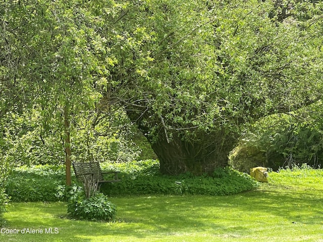 84 Highland Flats Rd, Naples, ID 83847 - view of grassy yard