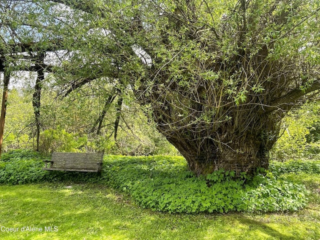 84 Highland Flats Rd, Naples, ID 83847 - view of yard