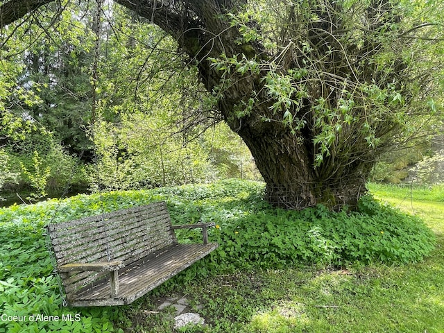 84 Highland Flats Rd, Naples, ID 83847 - view of property's community