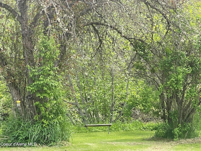 84 Highland Flats Rd, Naples, ID 83847 - view of grassy yard featuring a view of trees
