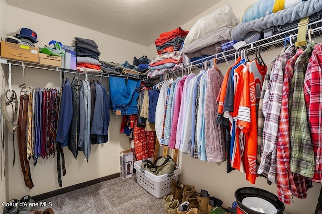 12613 N Lattner St, Rathdrum, ID 83858 - walk in closet featuring carpet