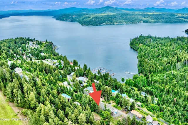 21161 S Cave Bay Rd, Worley, ID 83876