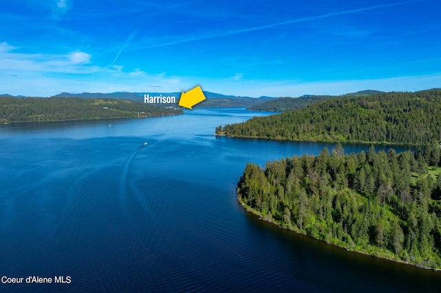 21161 S Cave Bay Rd, Worley, ID 83876