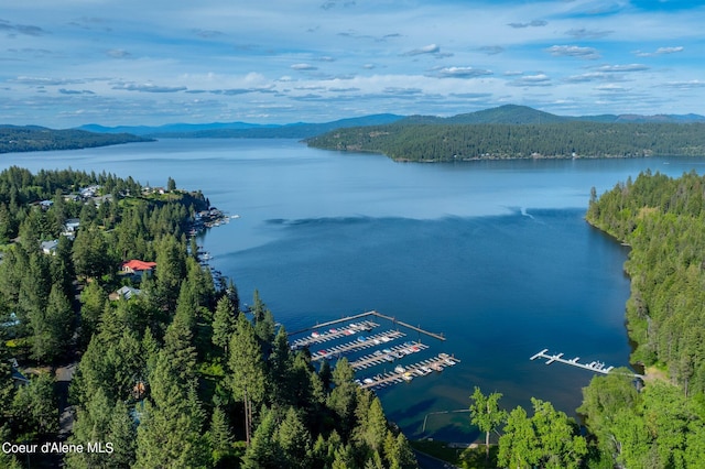 21161 S Cave Bay Rd, Worley, ID 83876