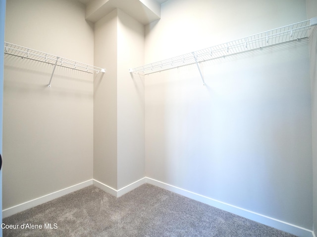 898 E Railroad Ave, Post Falls, ID 83854 - walk in closet featuring carpet