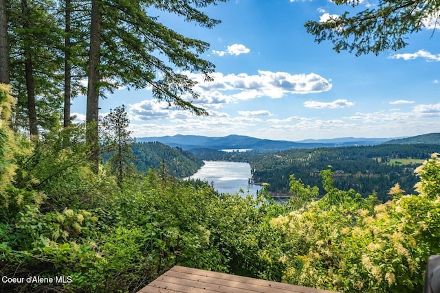 23 S Lightning Spur Ln, Coeur Dalene, ID 83814 - view of mountain backdrop with a forest and a nearby body of water