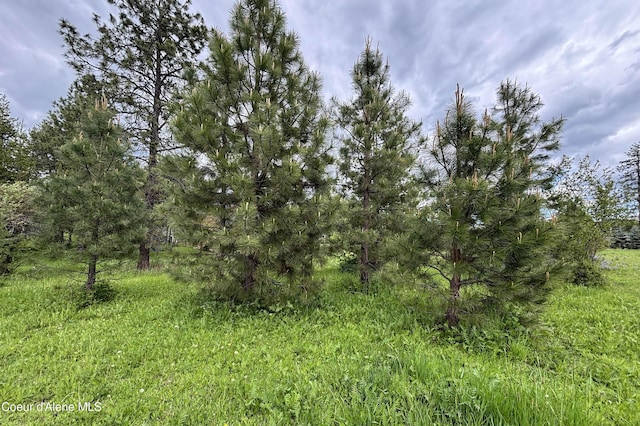 LOT11 Hewitt Ln, Dover, ID 83825