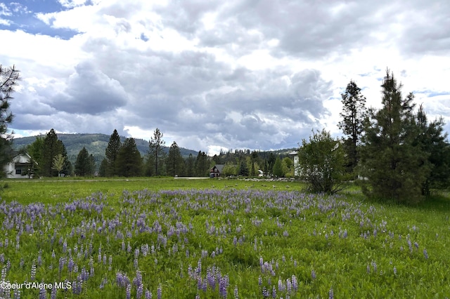 LOT11 Hewitt Ln, Dover, ID 83825
