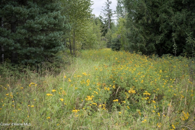 2695 Highland Flats Rd, Naples, ID 83847