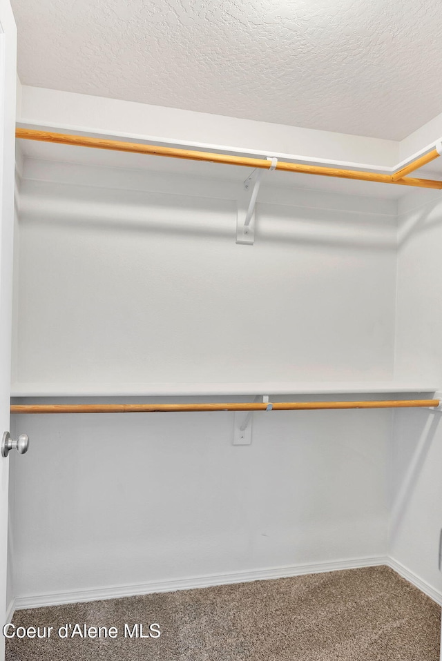 6314 Irish Dr, Rathdrum, ID 83858 - spacious closet with carpet floors