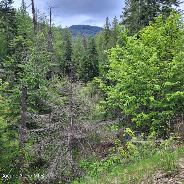 NNA Silver Ave, Bayview, ID 83803