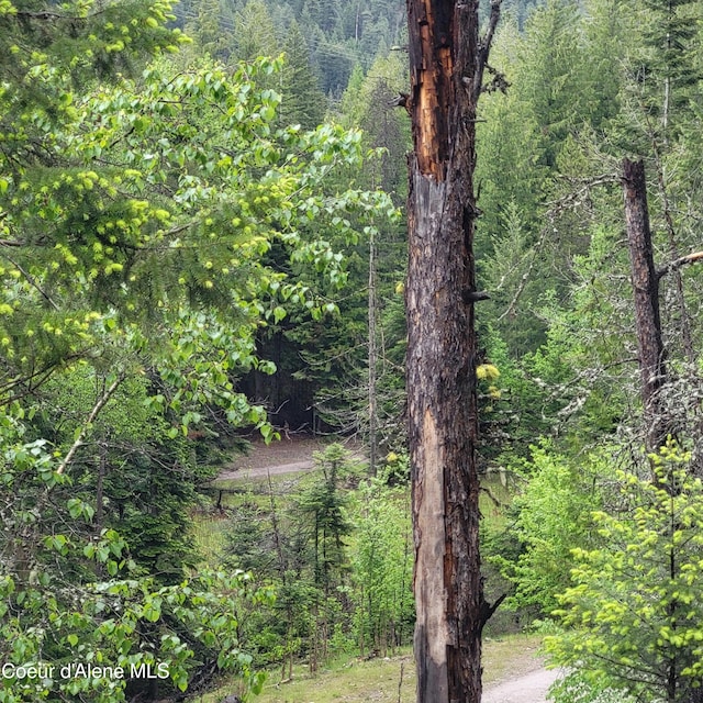 NNA Silver Ave, Bayview, ID 83803