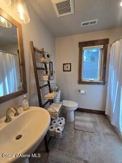 12552 N Walden Loop, Rathdrum, ID 83858 - bathroom featuring toilet, baseboards, a sink, wood finished floors, and a shower with shower curtain