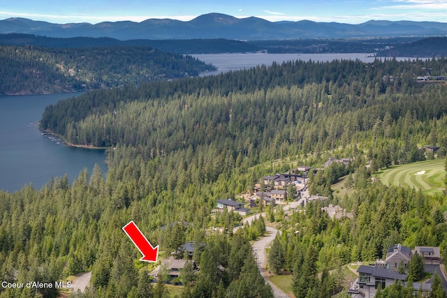 7783 S Buckrail Rd, Harrison, ID 83833 - bird's eye view of a forest and a water and mountain view